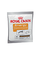Дополнительный корм лакомство для взрослых собак Royal Canin ENERGY DOG 50 грам