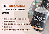 Тонік для обличчя з муцином равлика Livesta, 300 мл, фото 3