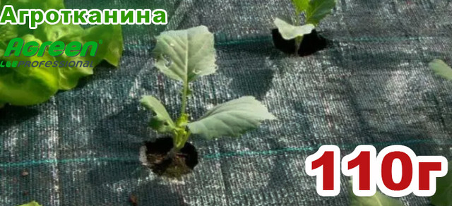 Агротканина 110г/м² плетена, зелена, щільна. Мульчування ґрунту на 7-10 років Агротканина 110г/м² плетена, зелена, щільна. Мульчування ґрунту на 7-10 років