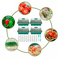 Міні парник для розсади з регулюванням вологості 4 шт по 12 відсіків Зелений