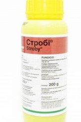 Фунгіцид Стробі (200гр. баночка)