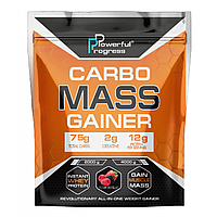 Powerful Proges Carbo Mass Gainer 2000g Forest Fruit