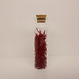 Шафран спеція (1 грам) вирощений в Україні натуральна пряність, фото 2