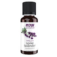 NOW Spike Lavender Oil 30ml (1fl.oz)