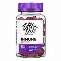 Immune Support - 60 gummies