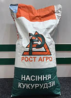 Насіння кукурудзи ДН Галатея ФАО 260