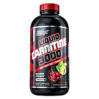 Liquid L-Carnitine 3000 - 480ml Berry Blast