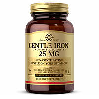 Gentle Iron 25 mg - 90 Vcaps
