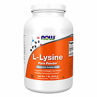 L-Lysine Powder - 454g