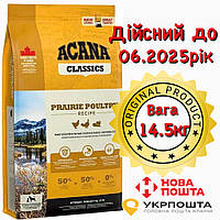 Acana Prairie Poultry 14,5 кг - корм для дорослих собак - корм для собак з ципля та індичкою