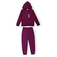 Детский костюм для девочки GABBI KS-24-11 Фиолетовый на рост 110 (13905)