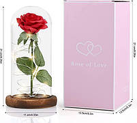 Вічна троянда в колбі з LED підсвічуванням 21 см, фото 2