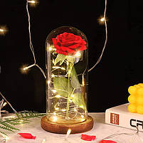 Вічна троянда в колбі з LED підсвічуванням 21 см, фото 3