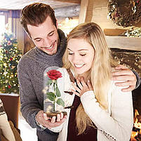 Вічна троянда в колбі з LED підсвічуванням 21 см, фото 4