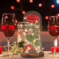 Вічна троянда в колбі з LED підсвічуванням 21 см, фото 5