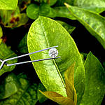 Усе про лабораторні діаманти CVD/HPHT