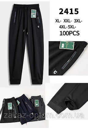 Спортивні штани чоловічі оптом (XL-5XL) Китай 2415-115673, фото 1
