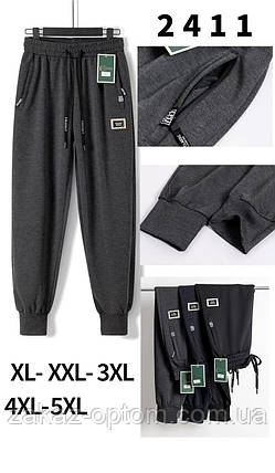 Спортивні штани чоловічі оптом (XL-5XL) Китай 2411-115675, фото 1