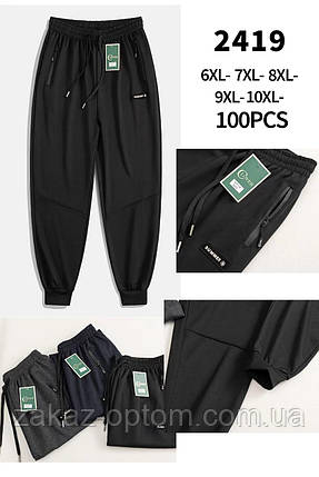 Спортивні штани чоловічі батал оптом (6XL-10XL) Китай 2419-115677, фото 1