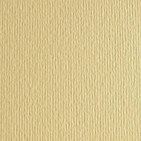 Картон кольоровий для пастелі А4 003395