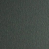 Картон кольоровий для пастелі А4 003399