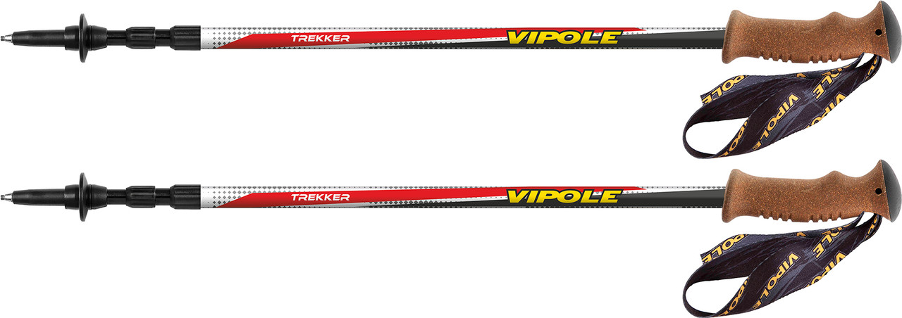 Трекінгові палиці Vipole Trekker Cork (S20 12)