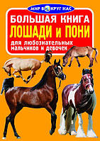 Олег Завязкин Большая книга. Лошади и пони