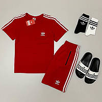 Мужской спортивный костюм Adidas летний комплект адидас Шорты + Футболка + Тапочки + Носки 2 пары красный