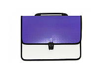 Портфель пластиковый А4 Economix Вышиванка E31641-12 фиолетовый new