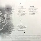 In Flames — Siren Charms 2 LP Set 2014 (88843059561, Ltd) Sony Music/EU Mint Вінілова пластинка (art.238447), фото 4