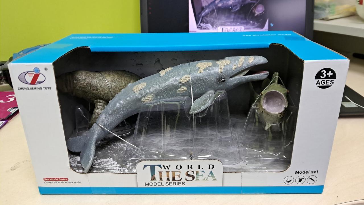 Ігровий набір морських тварин (3 види, 3 тварини, в коробці) Q 9899 P 22, фото 1