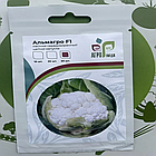 Насіння капусти кольорової Альмагро F1 Syngenta - 50шт (Агро Імідж), фото 3