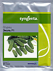Насіння огірків Еколь F1 Syngenta - 10шт (Агро Імідж), фото 3