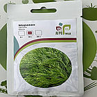 Насіння кропу Мораван (Татран) MoravoSeed - 10г (Агро Імідж), фото 2