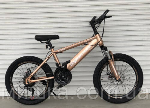 Велосипед дитячий TopRider-509 20" гірський, рама 13", 21 швидкість + крила у подарунок!, фото 1