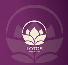 Ортопедичні матраци LOTOS