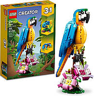 Конструктор Лего 31136 Экзотический попугай LEGO Creator 3 in 1 Exotic Parrot