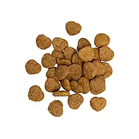 Ласощі для кошенят Savory Kitten 50 г індичка з журавлиною, фото 4