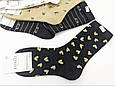 Жіночі високі шкарпетки COALO ведмедики-смужки, бавовна. розмір 36-41, 10 пар/уп асорті, фото 3