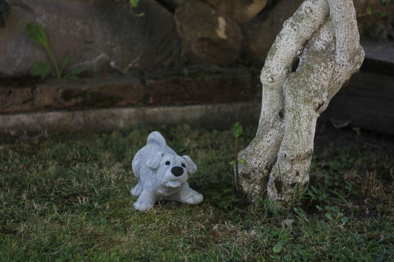 Садова фігура, статуетка Собака Рапатик для декору саду виготовлений з цементу, ручної роботи.
