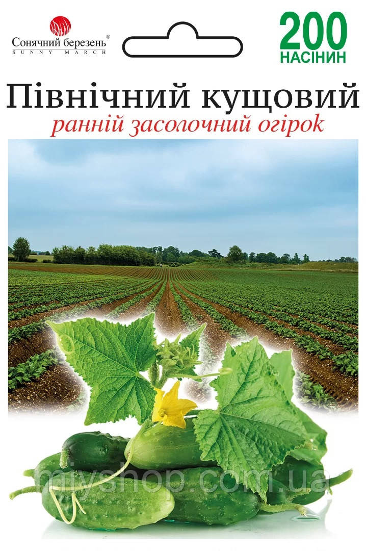 Огірок ранній бджолозапильний Південний Кущовий 200 шт Сонячний березень
