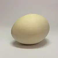 Яйце дерев'яне 6,5x4,5см