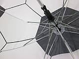 Дитяча парасолька 2-6 років, фото 3