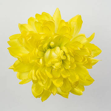 Жоржина штучна жовта 6 см, 12 шт. Жоржина для декору Д - 17 см, Жоржина штучна для декору