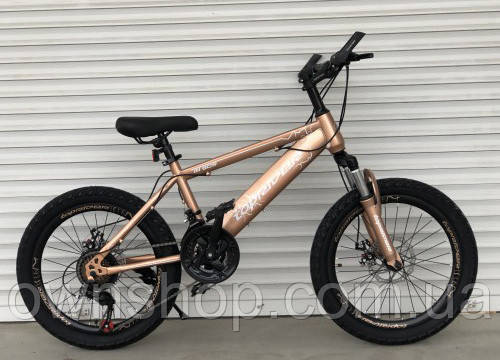 Велосипед дитячий TopRider-509 20" гірський, рама 13", 21 швидкість + крила у подарунок!