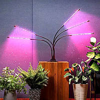 Лампы для растений, фитолампы для растений с таймером, лампа для рассады, светодиодные фитолампы, DGT