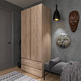 Шафа ШЛ-2 Лайт дуб сонома Еверест в дитячу,спальню,передпокій роликові напрямні