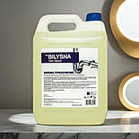 Білизна трубоочисник 5000 мл, фото 2