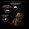 Purina Pro Plan Сухий корм з лососем для цуценят дрібних і мініатюрних порід з чутливим травленням 3 кг, фото 4