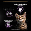 Purina Pro Plan (Пурина Про План) Kitten Healthy Start Turkey вологий корм для кошенят (індичка) блок 10 шт, фото 6